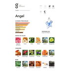 Angel (Inspirado en Angel)