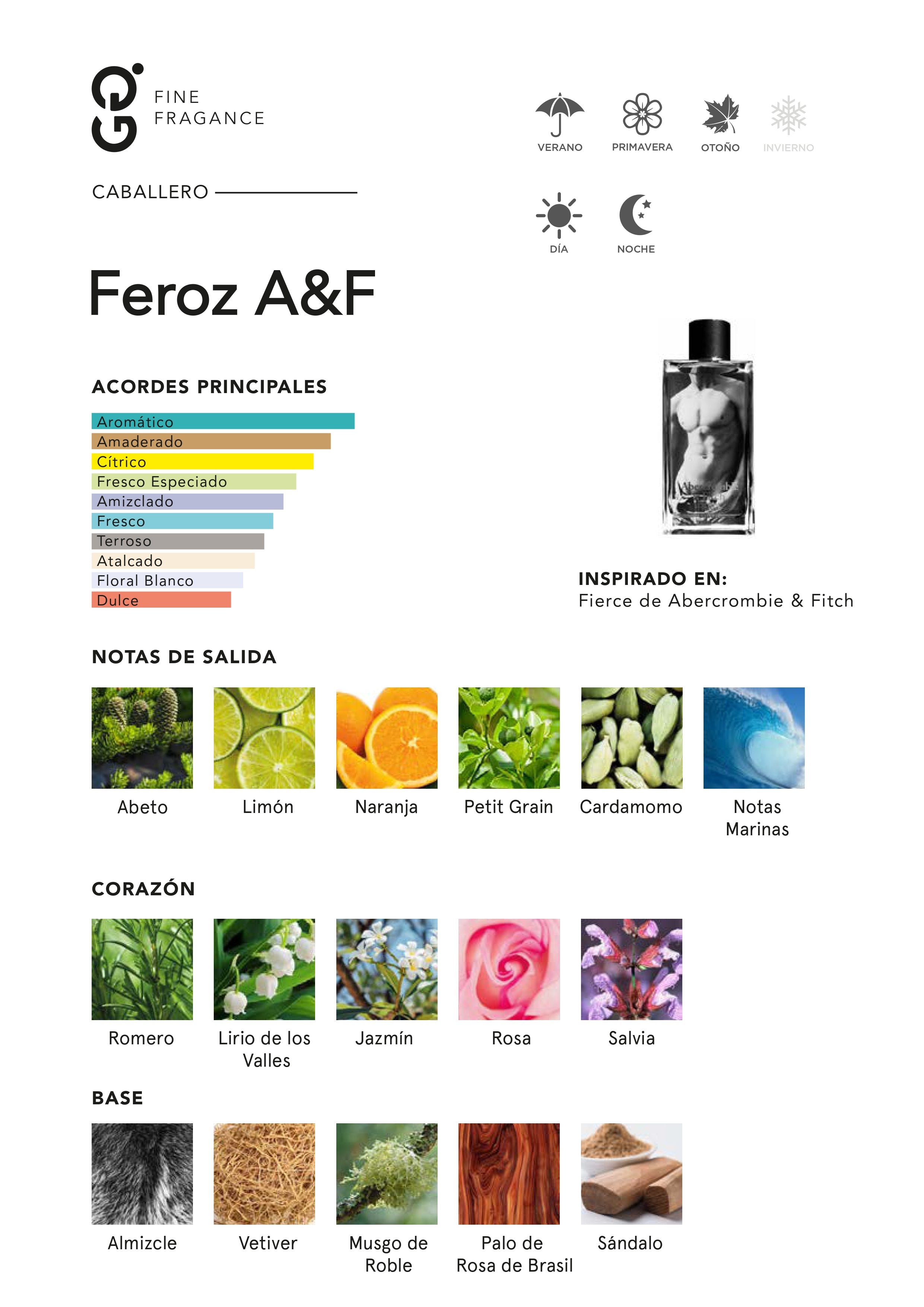 Feroz A&F (Inspirado en Fierce)