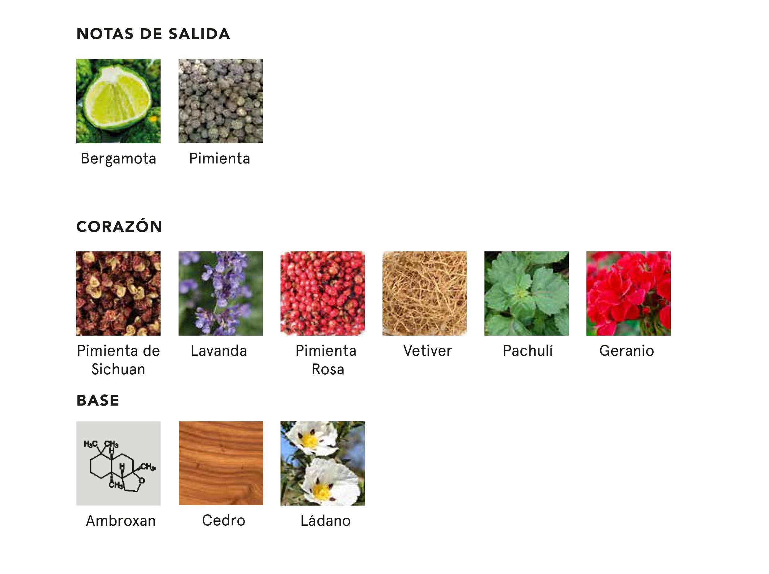 Salvage (Inspirado en Sauvage)