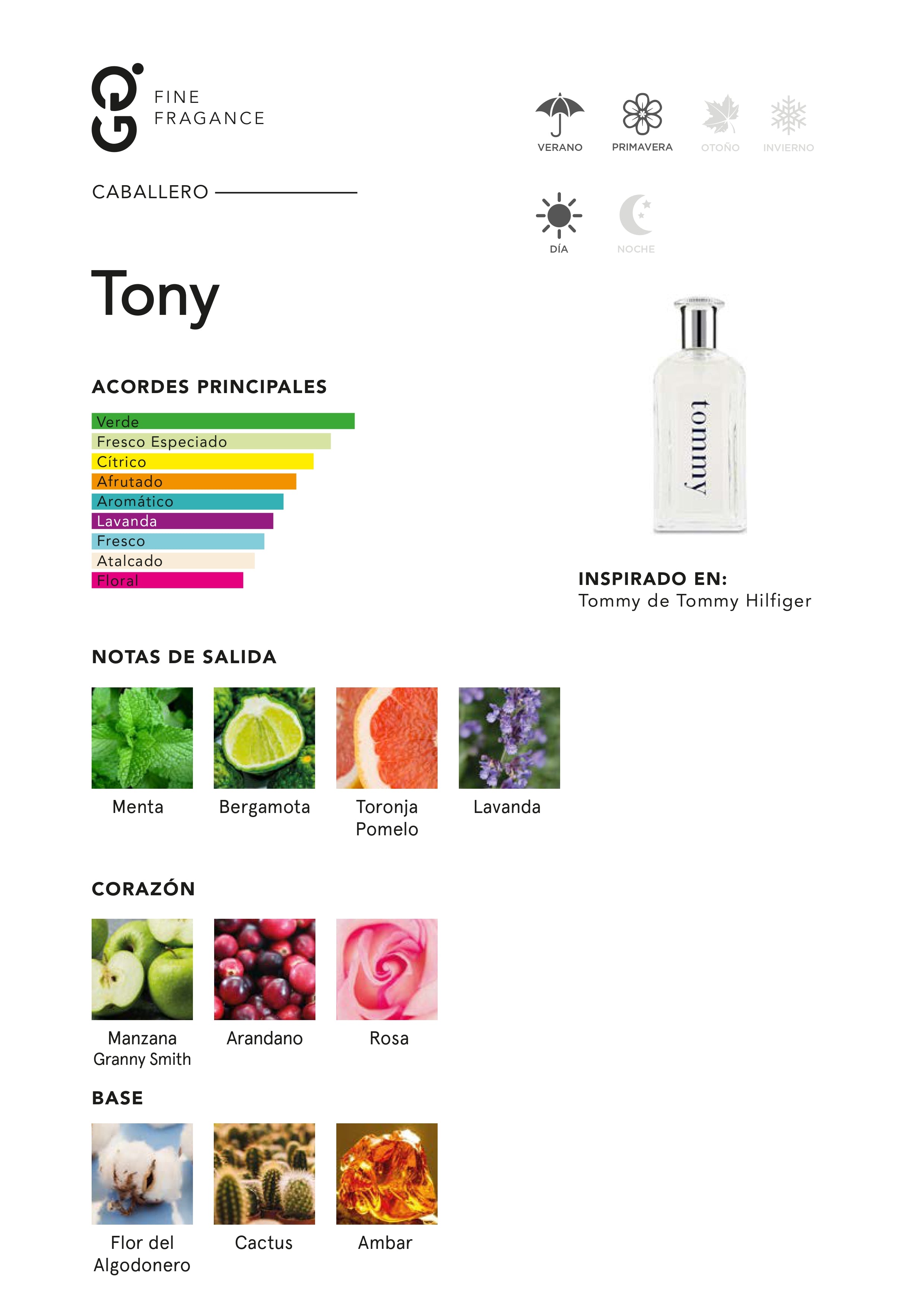 Tony (Inspirado en Tommy)